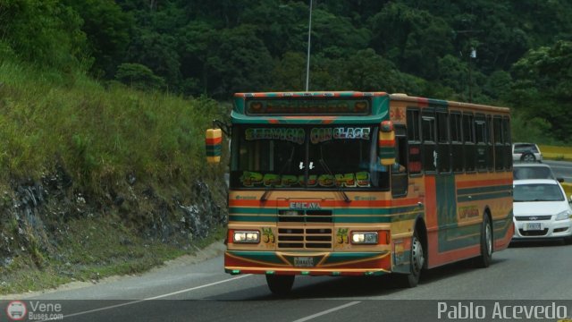 Transporte El Esfuerzo 31 por Pablo Acevedo