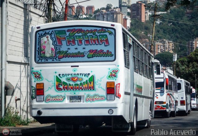 Cooperativa Canaima 12 por Pablo Acevedo