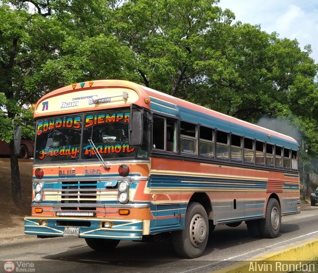 Transporte Agua Blanca 71 por Alvin Rondn