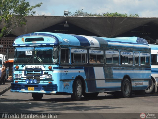 Expresos Continente C-28 por Alfredo Montes de Oca