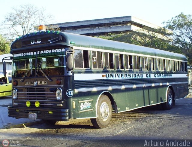 Universidad de Carabobo 043 por Arturo Andrade