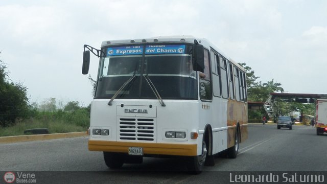 S.C. L�nea Transporte Expresos Del Chama 183 por Leonardo Saturno