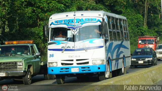 A.C. Indepasib 036 por Pablo Acevedo