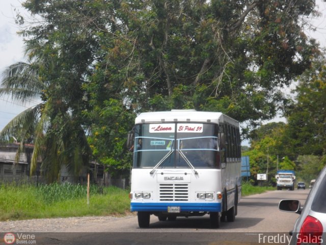 L�nea El Pi�al A.C. 59 por Freddy Salas