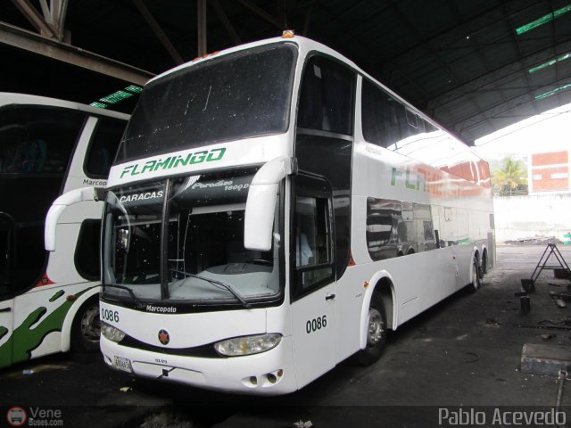 Expresos Flamingo 0086 por Pablo Acevedo