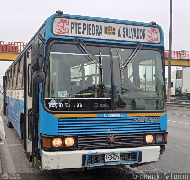 E.T. Urbanos Los Chinos S.A. 875 por Leonardo Saturno