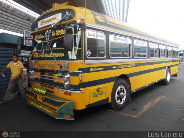 ZU - Colectivos Concepci�n 009 por Luis Enrique Carrero