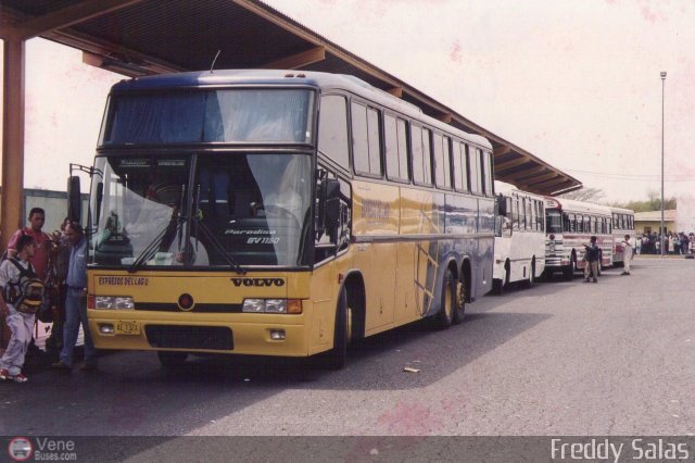 Expresos Del Lago 008 por Freddy Salas