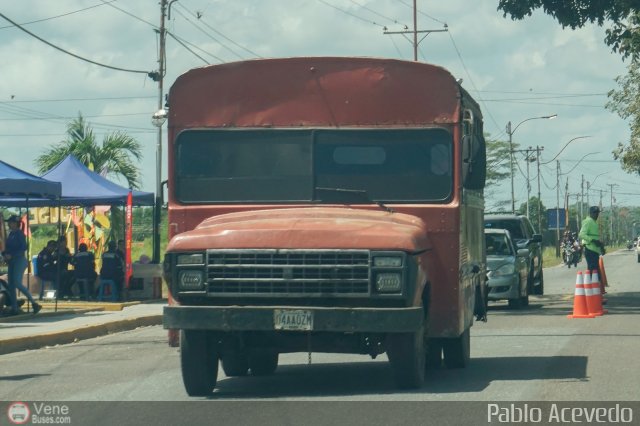 Particular o Desconocido Miranda por Pablo Acevedo