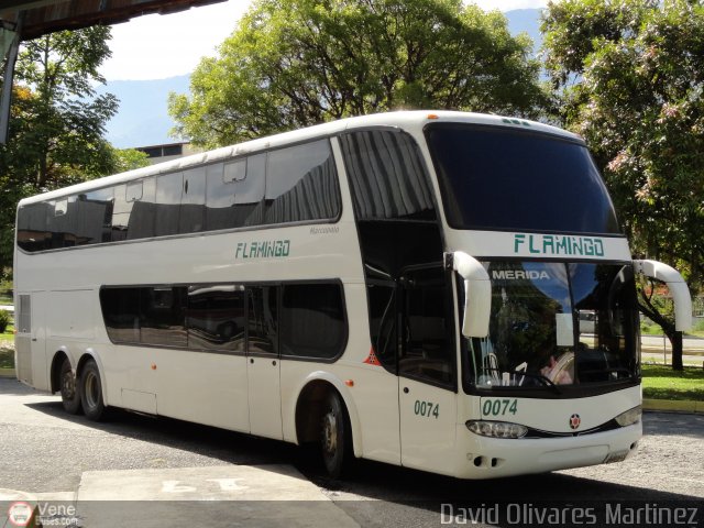 Expresos Flamingo 0074 por David Olivares Martinez