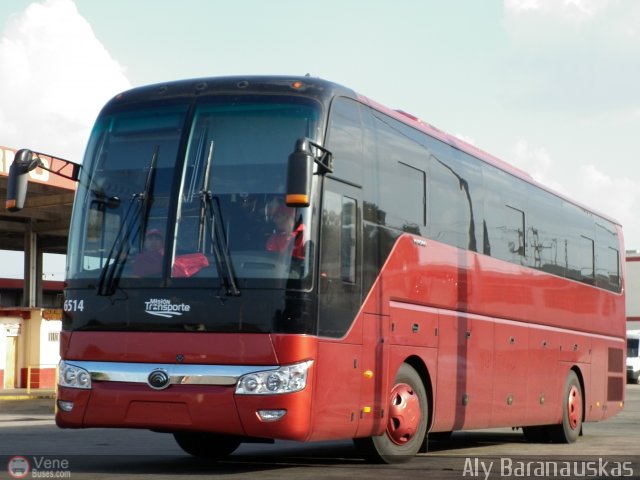 Sistema Integral de Transporte Superficial S.A 6514 por Aly Baranauskas