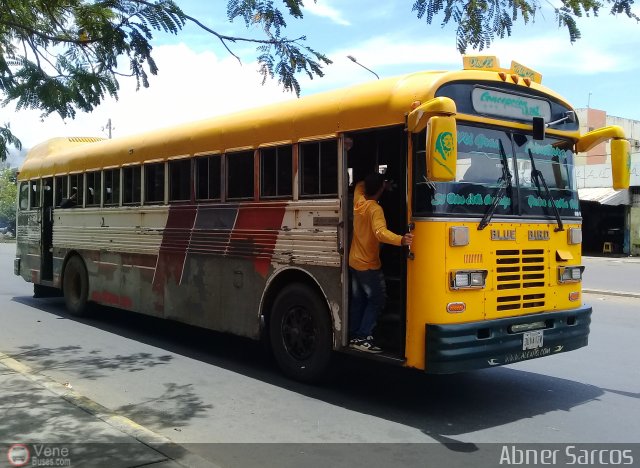 ZU - Colectivos Concepci�n 092 por Abner Sarcos