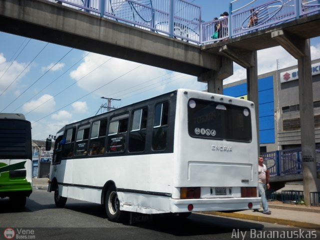 CA - Asociaci�n Coop. El Trigal R.L. 55 por Aly Baranauskas