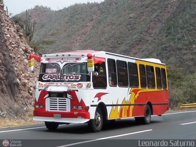 Colectivo Los Andes 15 por Leonardo Saturno