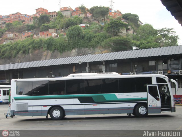 Servicios Especiales del Centro C.A. 31 por Alvin Rond�n