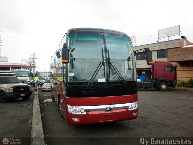 Particular o Desconocido 8308 por Aly Baranauskas