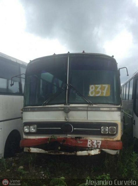 En Chiveras Abandonados Recuperacin AC008 por Alejandro Curvelo