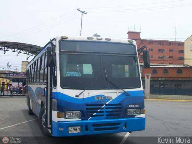 Lnea Arvelo 04 por Kevin Mora
