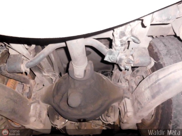 Particular o Desconocido 0343 por Waldir Mata