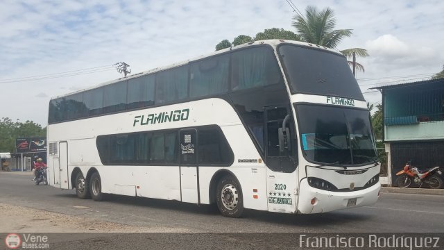Expresos Flamingo 2020 por Francisco Rodr�guez