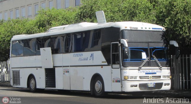Expresos Pegamar 1022 por Andrs Ascanio