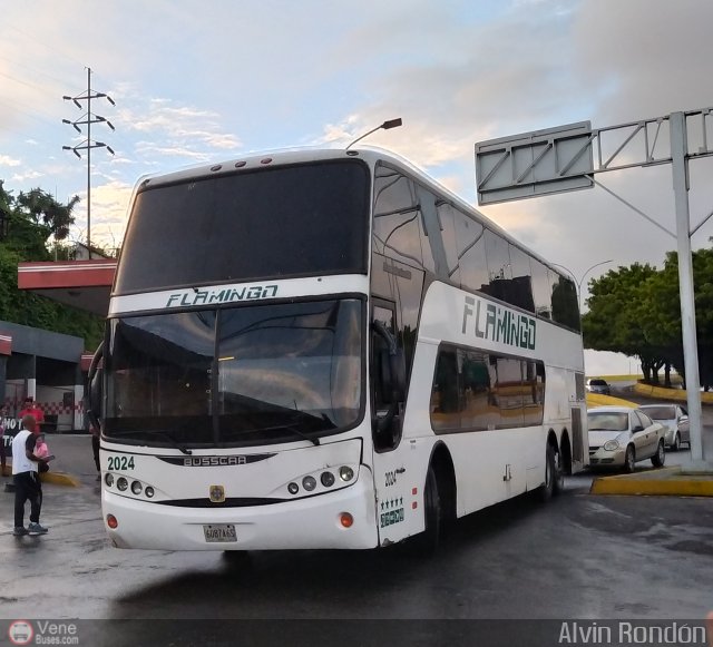 Expresos Flamingo 2024 por Alvin Rond�n