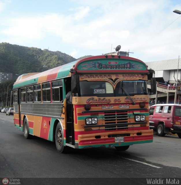 Cooperativa Canaima 33 por Waldir Mata