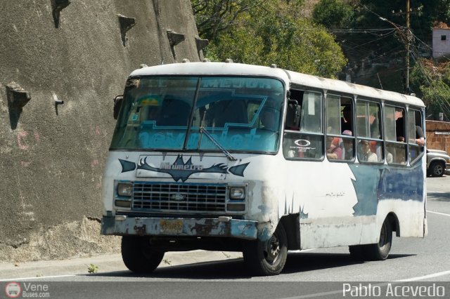 DC - Tigres de Plan de Manzano 084 por Pablo Acevedo