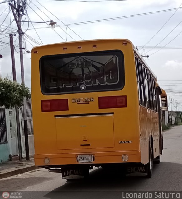 Colectivo Los Andes 10 por Leonardo Saturno