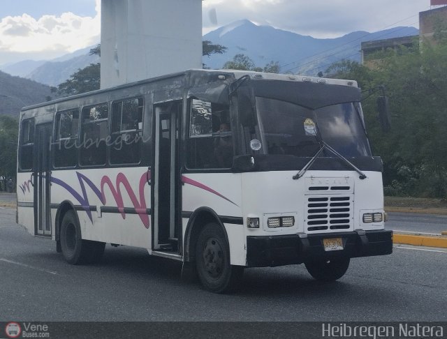 MI - L�nea Terepaima 98 por Heibregen Natera