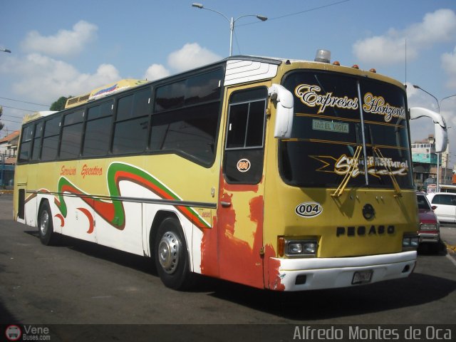 Expresos Horizonte 04 por Alfredo Montes de Oca