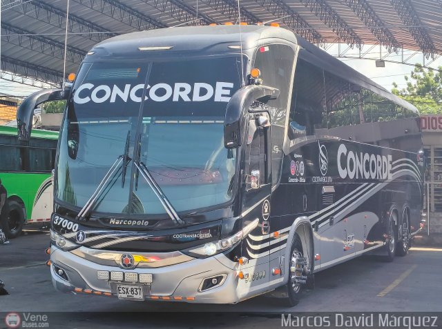 Cootransbol Ltda 37000 por Marcos David Márquez