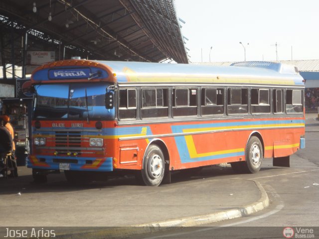 Colectivos Perij 26 por Jos Arias