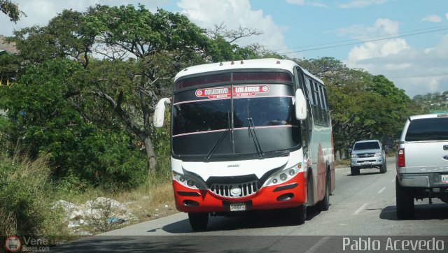 Colectivo Los Andes 02 por Pablo Acevedo