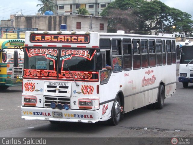 Transporte Agua Blanca 37 por Carlos Salcedo