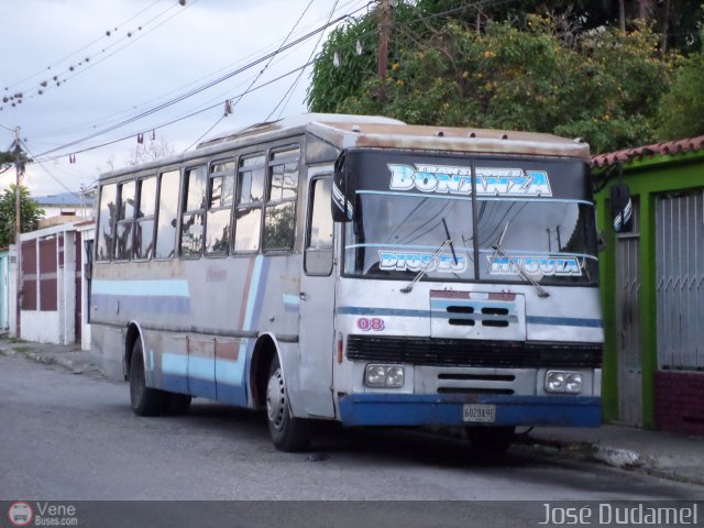 Transporte Bonanza 0008 por Jos Dudamel