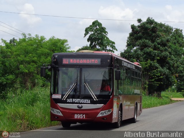 Bus Portuguesa 8951 por Alberto Bustamante