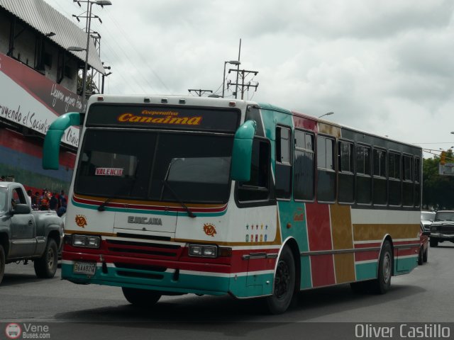 Cooperativa Canaima 10 por Oliver Castillo