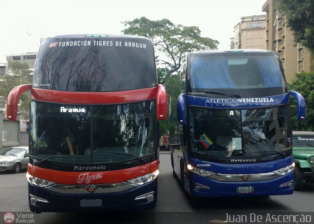 Tigres de Aragua B.B.C. 01 por Juan De Ascen��o