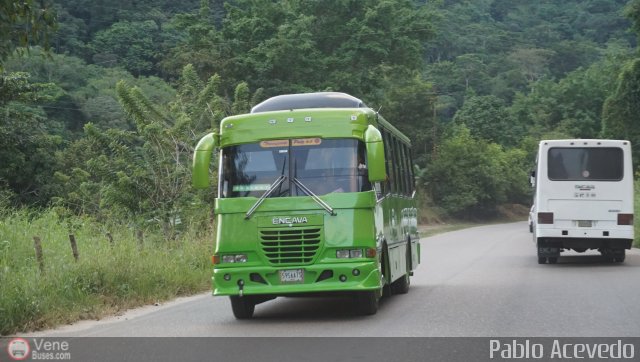 A.C. Transporte Paez 038 por Pablo Acevedo