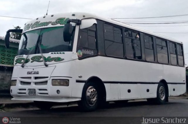 A.C. Bus Palmar R.L. 04 por Josue Snchez