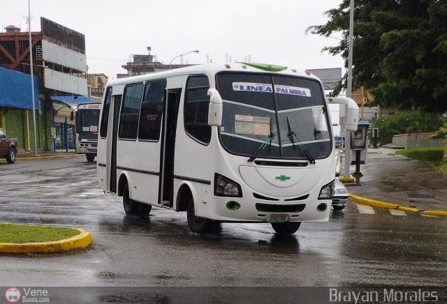 TA - A.C. Autos por puesto Lnea Palmira 032 por Jerson Nova