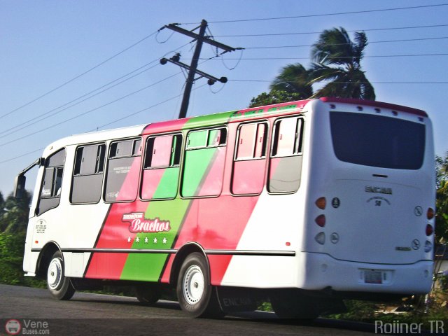 Transporte Virgen del Carmen 50 por Royner Tovar