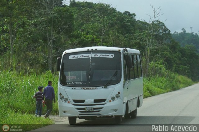 L�nea El Pi�al A.C. 18 por Pablo Acevedo