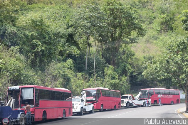 En Chiveras Abandonados Recuperacin  por Pablo Acevedo