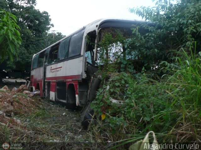 En Chiveras Abandonados Recuperacin AC0030 por Alejandro Curvelo