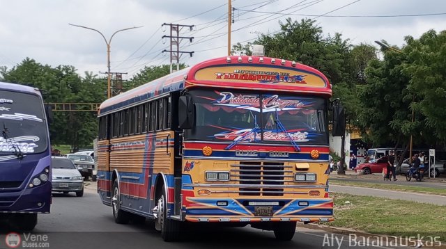 Autobuses de Tinaquillo 20 por Aly Baranauskas