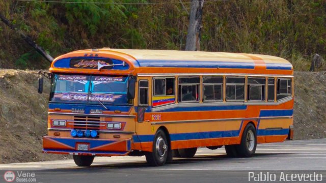 Colectivos Altagracia 15 por Pablo Acevedo