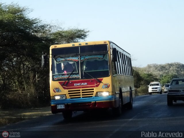 Expresos Valle Guanape 03 por Pablo Acevedo