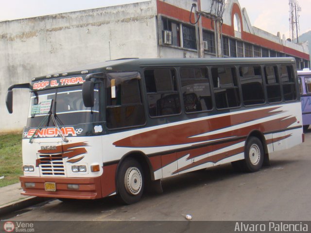 CA - Asociaci�n Coop. El Trigal R.L. 81 por Alvaro Palencia